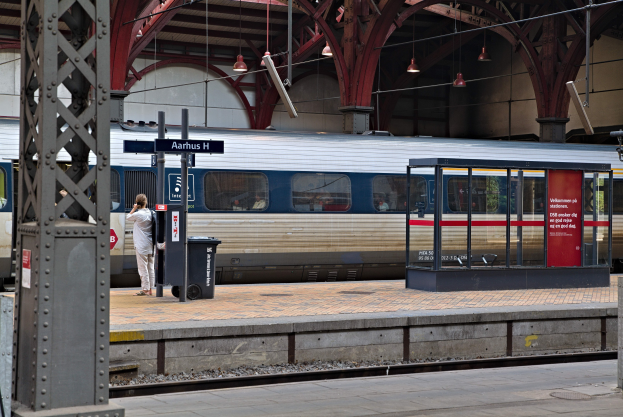 Ein Zug fährt auf einem Bahnsteig ein, auf dem eine Person in der Nähe steht, mit einem Müllcontainer, Pfählen, Informationsschildern und Deckenleuchten.