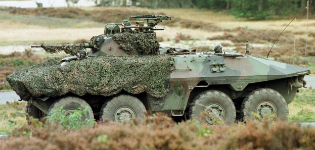 Militärischer Mannschaftstransporter mit montierter großer Kanone auf einer Straße neben einem Wald.