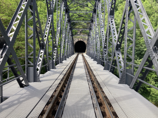 Stahlbrücke mit einem Zug, der durch eine tunnelförmige Struktur fährt, umgeben von Bäumen.