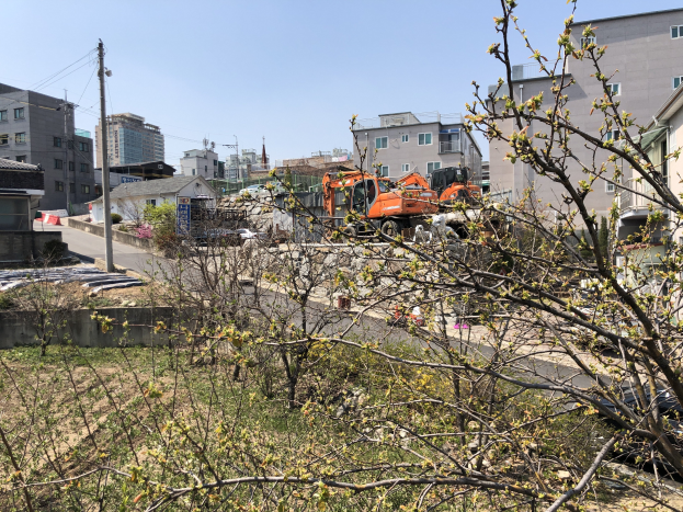 Eine Baustelle mit einem zentralen Baum, umgeben von Gebäuden, Fahrzeugen, Strommasten mit Kabeln und einem Himmel im Hintergrund.