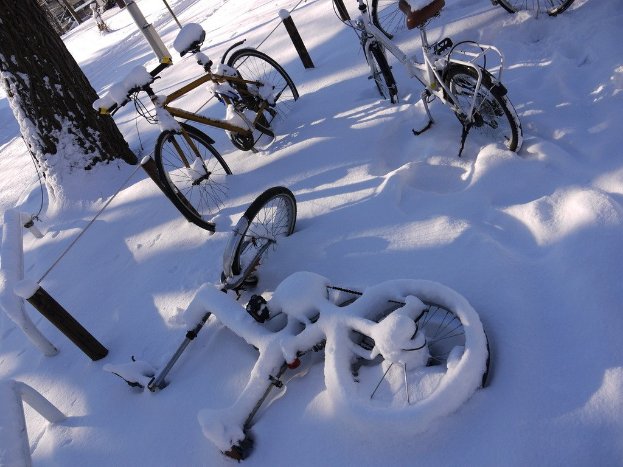 Eine Reihe von Fahrrädern, teilweise im Schnee begraben, neben einem Baumstamm und einer Straße.
