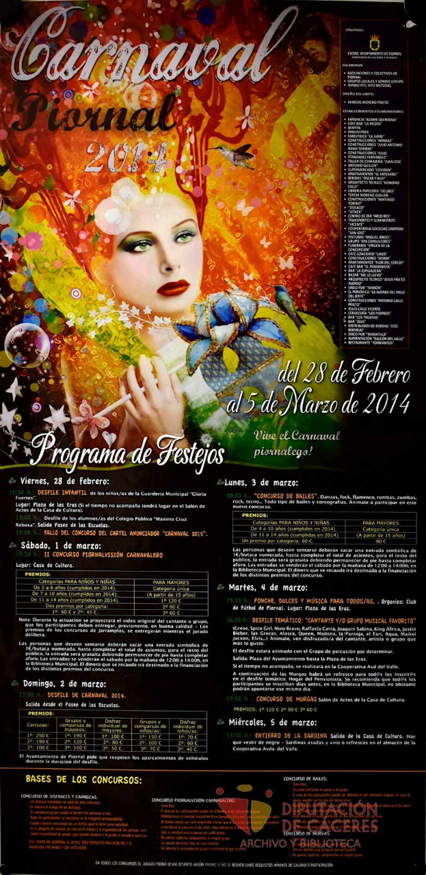 Eine Frau in einem bunten Kleid, die lächelt, umgeben von der fettgedruckten Schrift "Karnevalsfest 2014" auf einem leuchtend gelben Hintergrund.