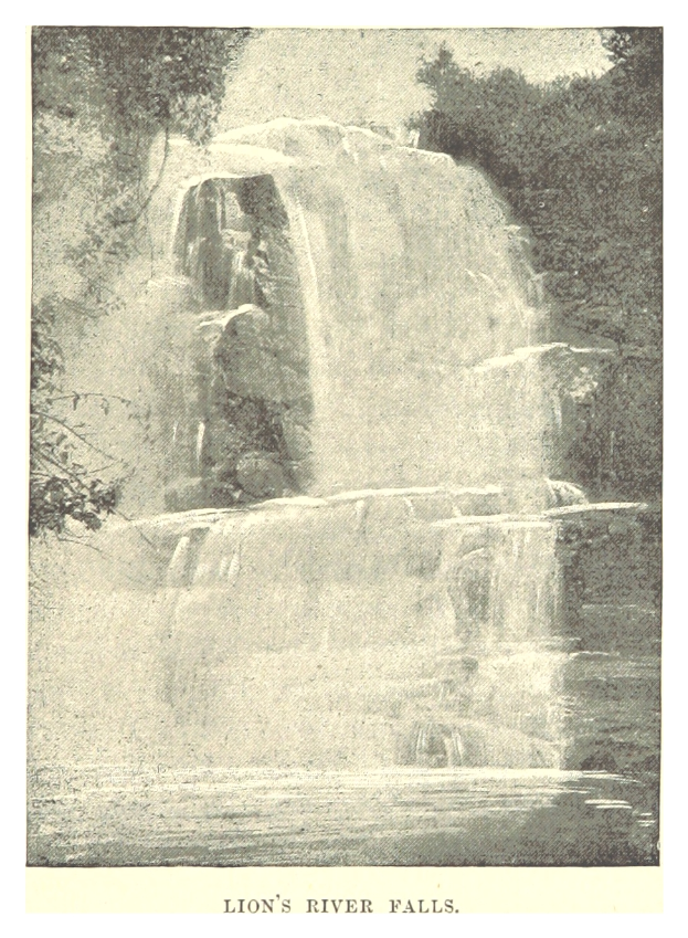 Ein majestätischer Wasserfall, der eine felsige Klippe hinabstürzt und von üppigen Bäumen umgeben ist, mit dem Text "Löwensfluss" unten.