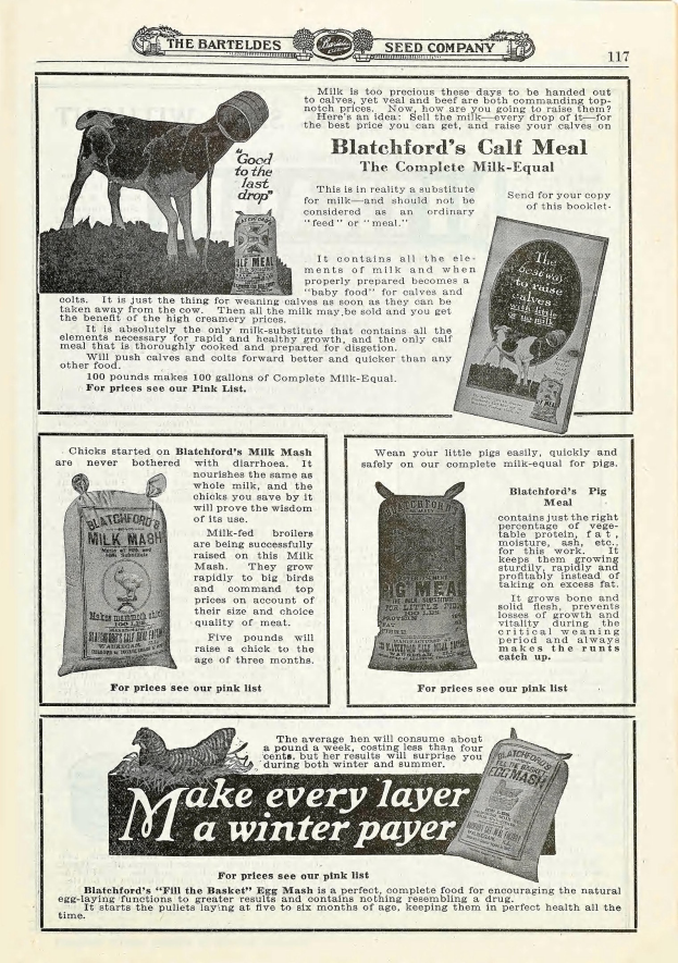 Eine alte Werbung mit einer hellbraunen Kuh mit weißem Maul und Brust, aufgerichteten Ohren und einem freundlichen Gesichtsausdruck, umgeben von fetter, gelber Schrift.