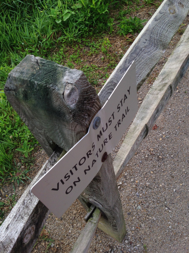 Ein hölzerner Zaun mit einem Schild, auf dem "Besucher bleiben auf dem Naturweg" steht, umgeben von grünem Gras und kleinen Steinen.
