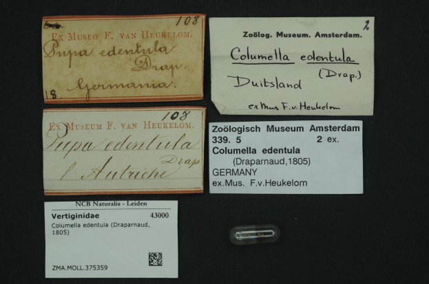 Eine Sammlung alter Visitenkarten mit Texten über Columella edentula, eine Art Medizin, und ein kleines Stück Papier mit einem Barcode.