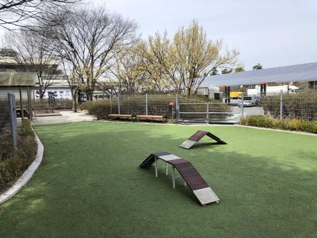 Ein eingezäunter Hundepark mit Kunstgras, einer zentralen Rampe, umgeben von Pflanzen und Bäumen, Bänken, Hütten und Fahrzeugen, unter einem sichtbaren Himmel.