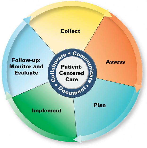 Kreisförmige Diagramm mit der Überschrift "patientenorientierte Pflege" und vier farbigen Abschnitten, jeder mit einer spezifischen Pflegeaspekt beschriftet.