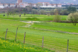 Golfplatz mit saftig grünem Rasen, hohen Bäumen, gelben Blumen im Vordergrund, Gebäuden und wolkenlosem Himmel im Hintergrund, Menschen beim Golfspielen.
