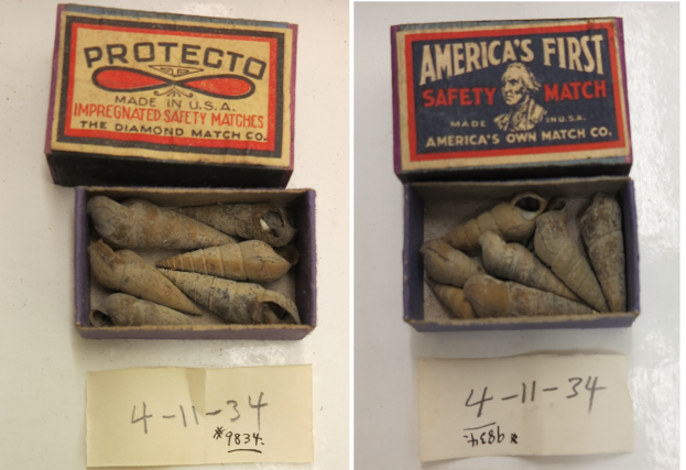 Zwei Streichholzschachteln mit der Aufschrift "Protecto" und "Amerikas erste Sicherheitszündholz" auf einem Tisch mit verschiedenen Gegenst├Ąnden darin und zwei nummerierten Papieren unten.