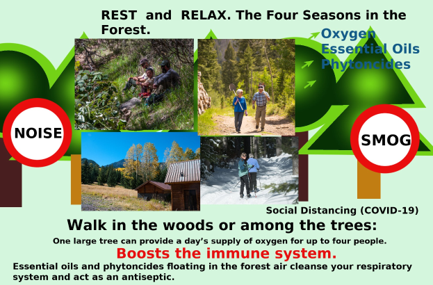 Plakat mit der Aufschrift "Ruhe und Entspannen die vier Jahreszeiten im Wald" mit Bildern von Menschen, die durch einen bewaldeten Bereich mit Bäumen und einem Haus gehen, um Entspannung in der Natur zu fördern.