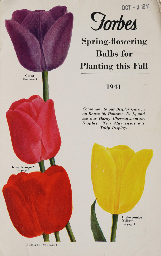 Plakat aus dem Jahr 1941 mit drei roten, gelben und violetten Tulpen in symmetrischer Anordnung mit überlappenden Blütenblättern und der Aufschrift "Forbes Frühlingsblüher für die Pflanzung diesen Herbst 1941" darüber.