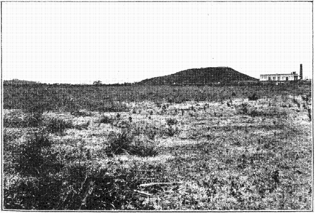 Schwarz-weiß-Foto eines Feldes mit einem Hügel im Hintergrund, einem Gebäude auf der rechten Seite und einem Himmel oben, mit dem Text 'New York State Penitentiary' unten.