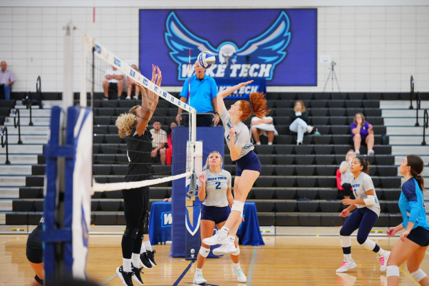 Frauen beim Volleyballspielen mit einem Netz, Zuschauern auf einer Treppe und einem Meisterschaftsbanner mit einem Adler-Logo im Hintergrund.
