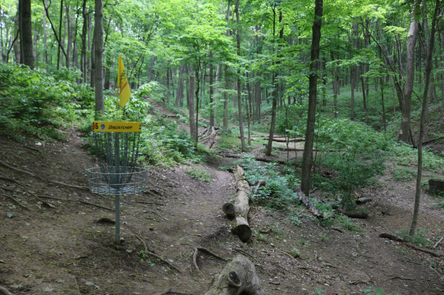Disc-Golf-Korb und gelbes Schild an einem bewaldeten Kurs mit Bäumen, Pflanzen und verstreuten Holzstämmen.